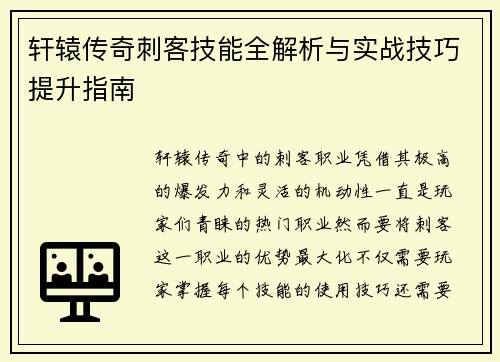 轩辕传奇刺客技能全解析与实战技巧提升指南